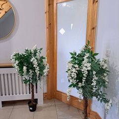 2 Wisteria trees decor