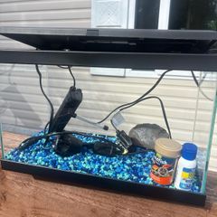 Fish Tank with Filter