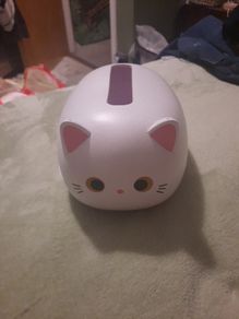 hard cat tissue box