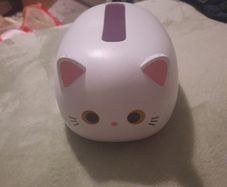 hard cat tissue box