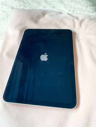 iPad mini