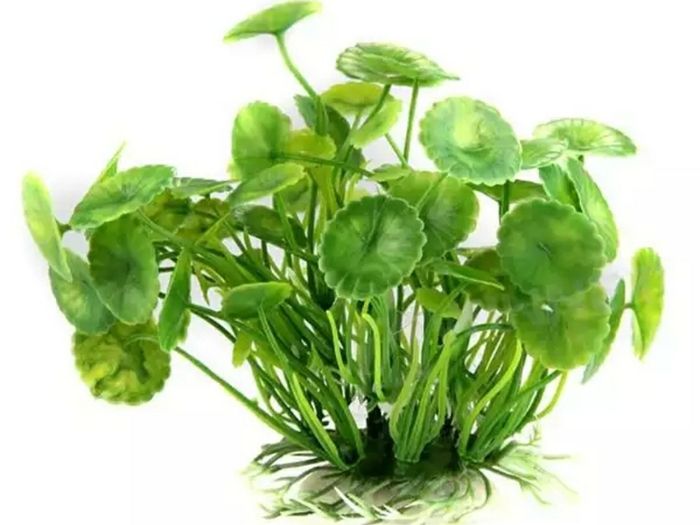 Plastic Aquarium Decorations Multicolor Artificial Plants
