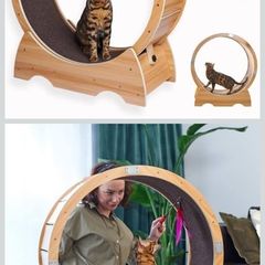 cat exercise treadmill