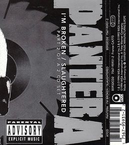 Pantera Im Broken Slaughtered CD 2 Single Heavy Metal