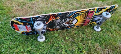 Tony Hawk Skateboard