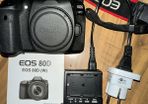 Canon 80d