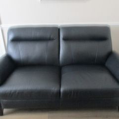 3 seater couch and one armchair