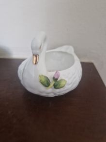 swan