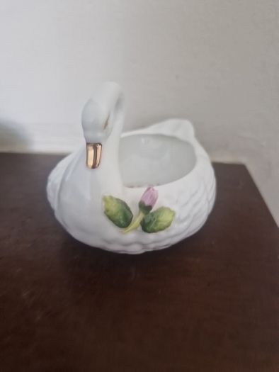 swan