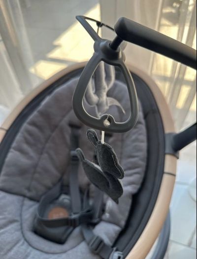 Baby bouncer