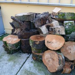 Firewood