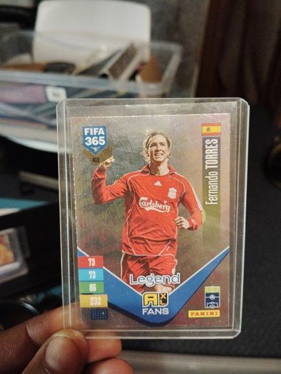 Fernando Torres