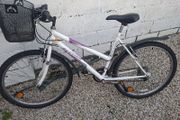 Girls Mountain Bike