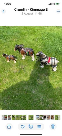 3 horse set