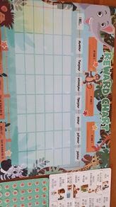 Reward chart