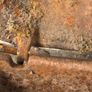 pierce bellows & toolbox Image 9