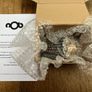 nOb Control - New in box Image 4