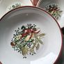 Vintage Pasta Bowl set Image 4