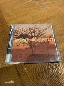 Willard Grant Conspiracy - Regard the End