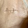 Sean John Genuine Leather Overcoat Image 2