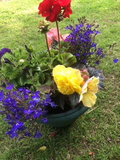 planted pot