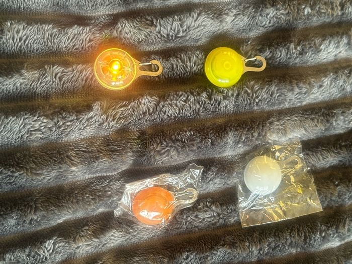 dog collar lights