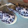 Size 5, Brand-New OshKosh B'gosh Slip On Shoes Image 6