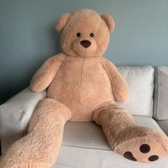 Large Teddy Bear