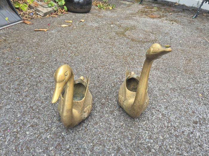 Brass Swans