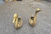 Brass Swans