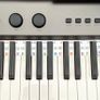 piano Image 8