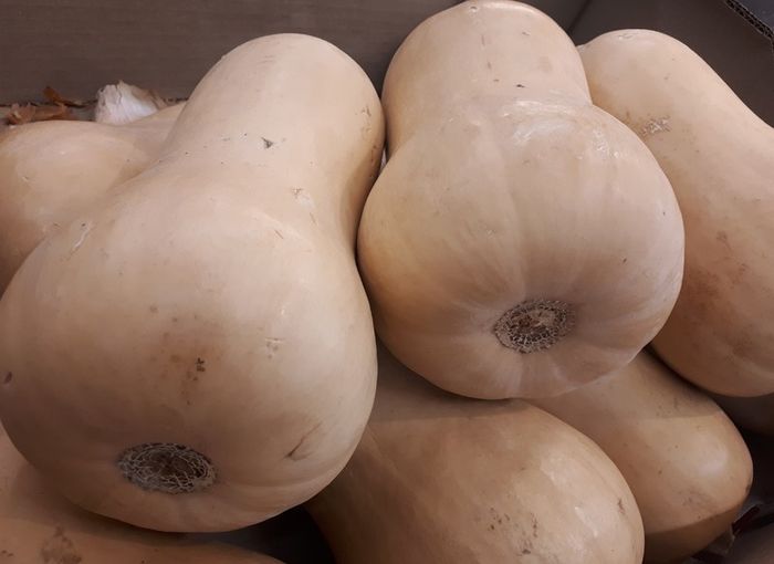 Squash Butternut "Winter Hunter" Seeds