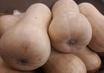 Squash Butternut 