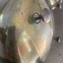 Antique Brass Kettles Image 6