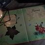A Field Guide To Fairies ! Beautiful Pop-up Book ! Hardcover ! 2009 ! by Kingfisher ! Image 9