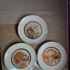3 chokin plates