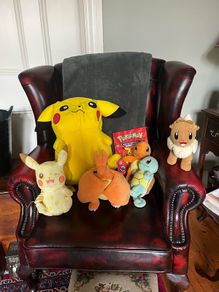 Pokemon teddies & encyclopaedia