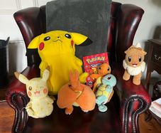 Pokemon teddies & encyclopaedia