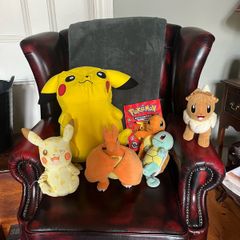 Pokemon teddies & encyclopaedia