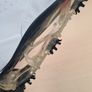 Mens Heaven Golf Shoes Size Uk 7.5 Eu 41 Brand New Image 9