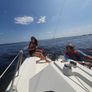 Sailing Cruiser Image 8