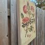 Beautiful Set of 3 Vintage Botanical Canvas Prints by Wild Apple Portfolio Image 6