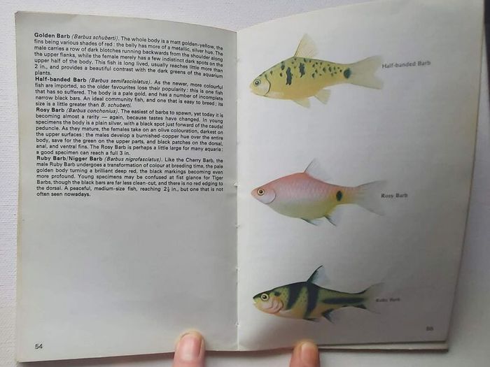 Tropical Fish and Aquarium Books