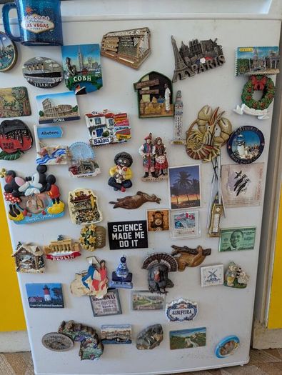 Huge Selection of Fridge Magnets
