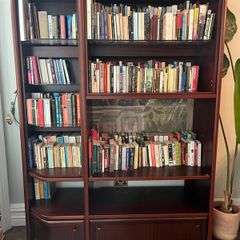 Living Room storage bookcases /display units