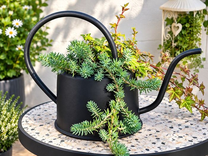 Otdoor plant