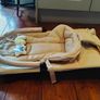 baby bouncer - open for offers Image 4