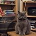 sean19999