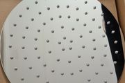 Stainless steel shower head