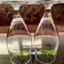 Two Carlsberg Unfiltered Pedestal Goblet Pint Glasses Image 3